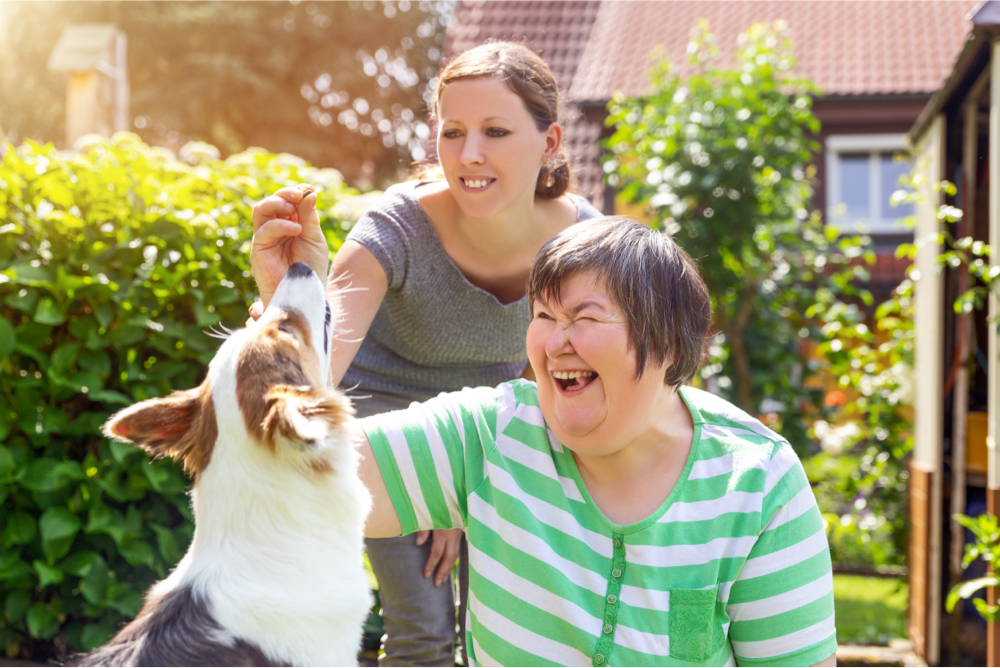 Image of Two people and a dog. The people are smiling while the dog is reaching for a treat.