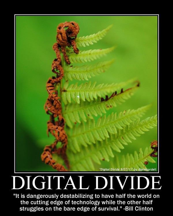 picture of a fern, one side vibrant, the other side dead with Bill Clinton quote Digital Divide: it is dangerously destabilizing to have half the world on the cutting edge of technology while the other half struggles for survival