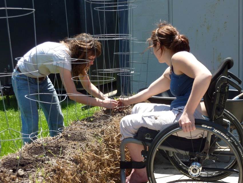 two women, one using a wheelchair, work on a strawbale bed with tomato cages sticking out of the top